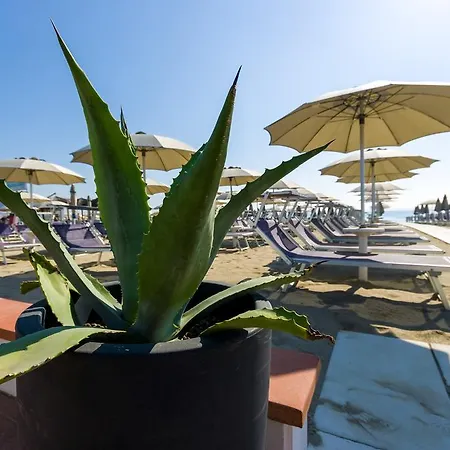 Metropolitan Family Hotell