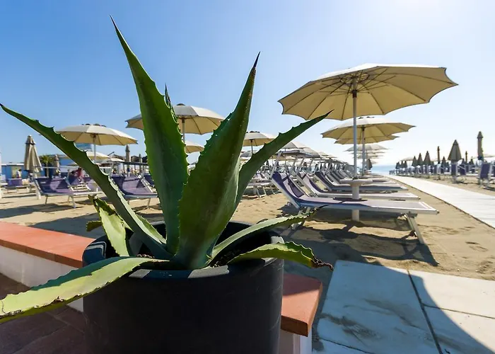 Metropolitan Family Szálloda